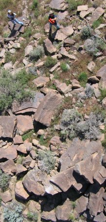 Mohave Desert